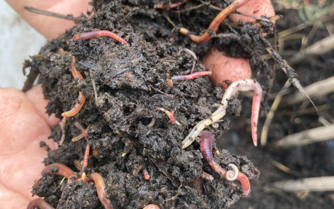 Community Change Makers