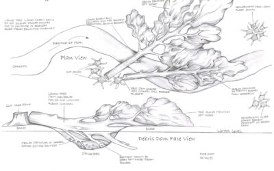 From Design to Delivery: The Hidden Steps in Planning Nature-Based Solutions