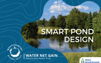 Smart Pond Design Report