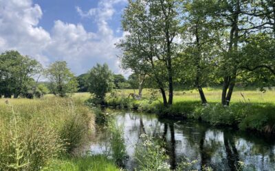 The 2025 Angling Season Wrap-Up