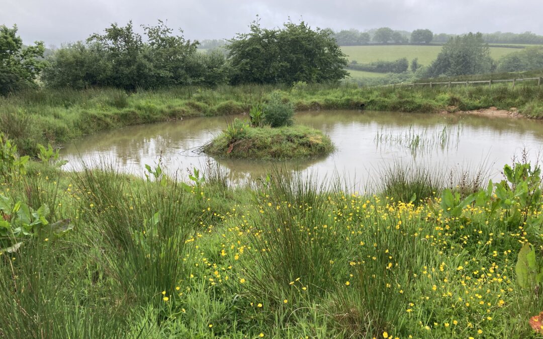 Beyond Winter Floods: Why Drought Planning Starts Now