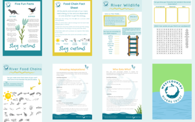 Engagement and Learning Updates