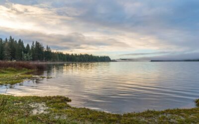 Building communities for lake restoration