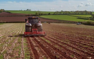 ADOPT: Proving success of maize production into living mulches